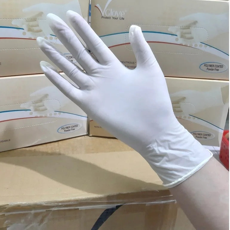 Latex Powder Free Glove | Carton of 10 Box