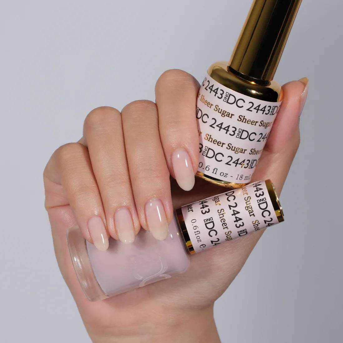 DC Duo - Sheer Sugar #2443