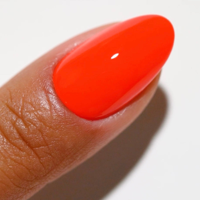 DC Duo - Untamed #2542