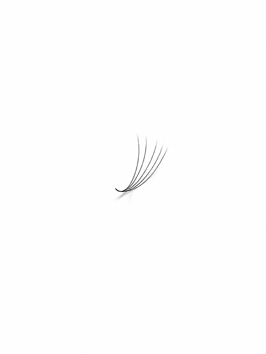 5D (0.05) Premade Volume Fans  - Single Sizes