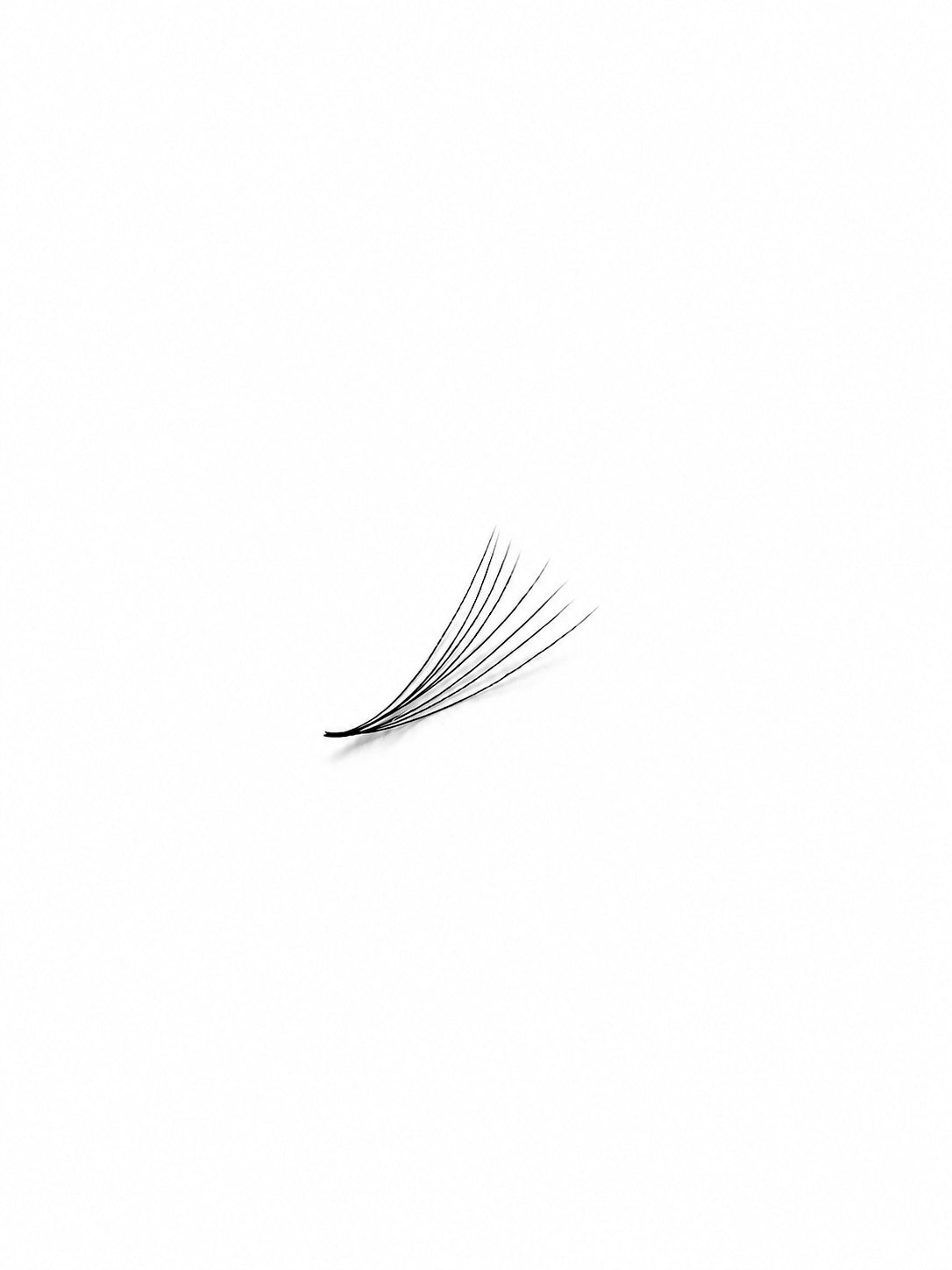 8D (0.05) Premade Volume Fans - Single Sizes