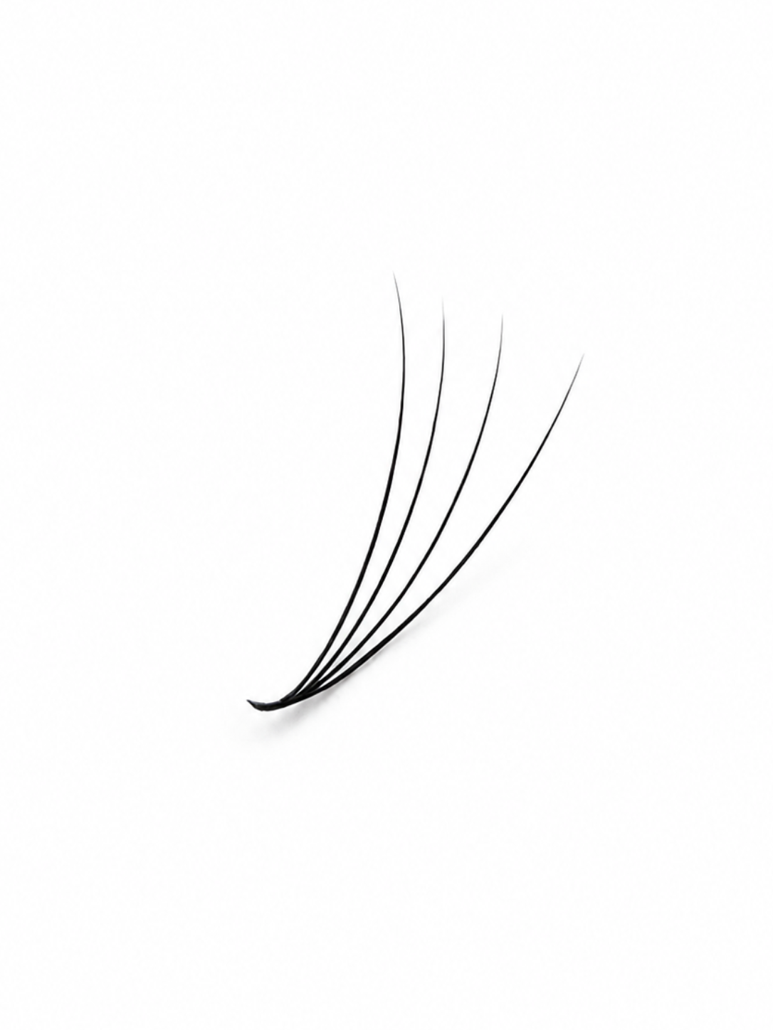 4D (0.10) Premade Volume Fans - Single Sizes