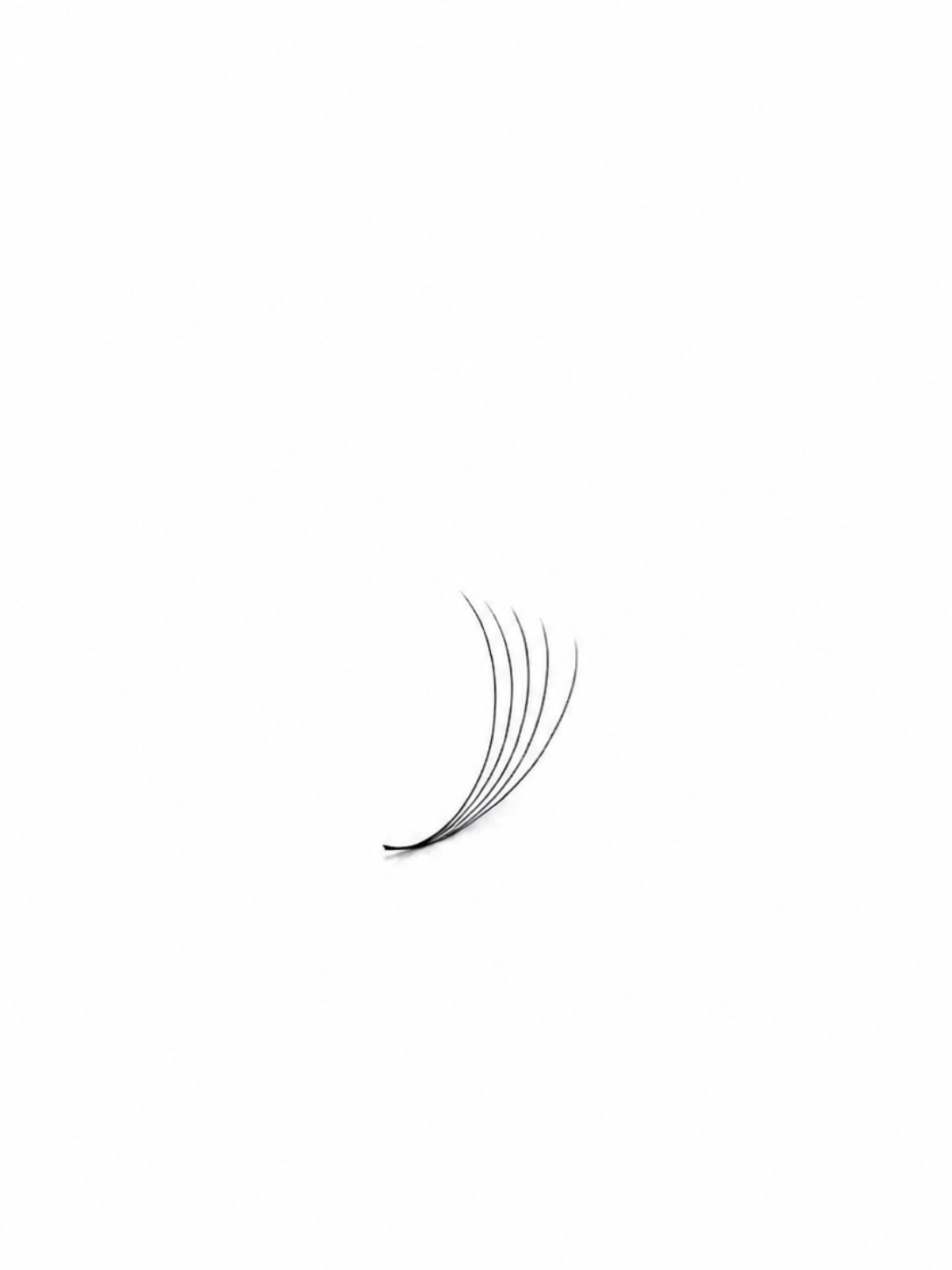 5D (0.05) Premade Volume Fans  - Single Sizes