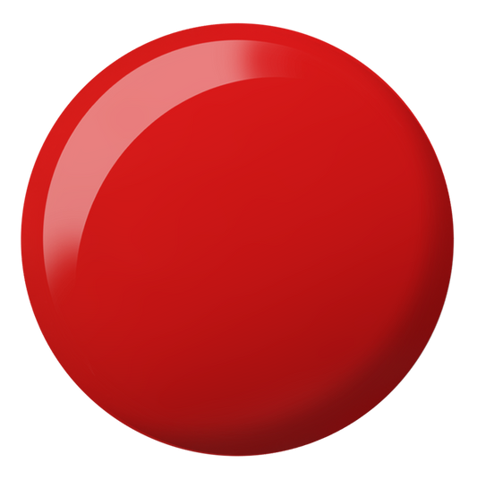 DC Duo - Ladybug #2543