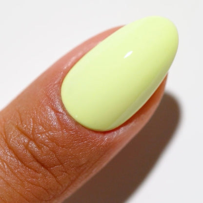 DC Duo - Eucalyptus #2514